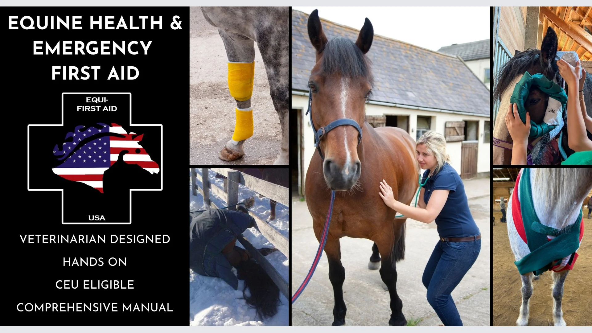 Equine Health and Emergency First Aid