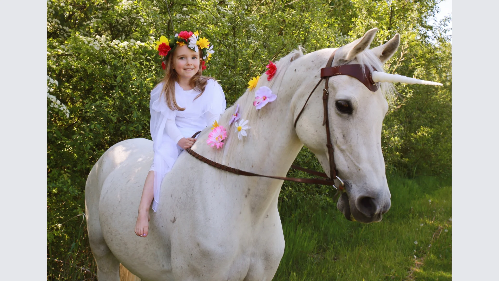 Unicorn Fantasy Camp! Ages 6 & Up