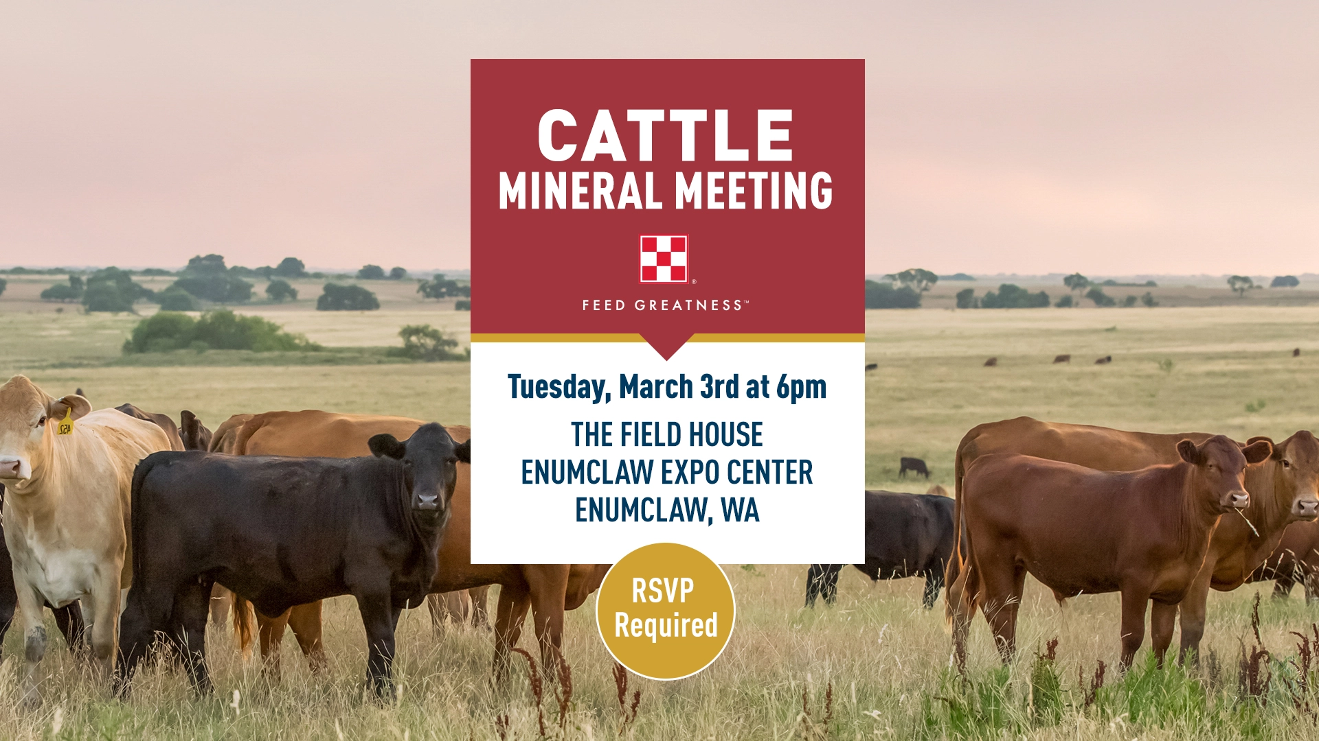 Cattle Mineral Meeting in Enumclaw