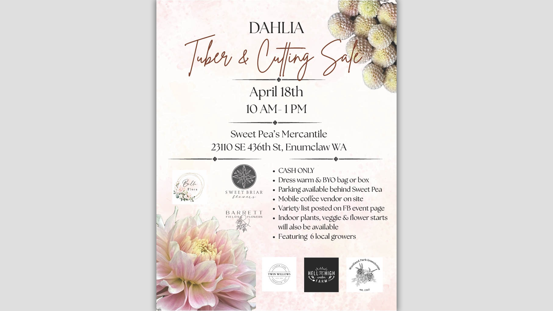 Dahlia Tuber & Cutting Sale