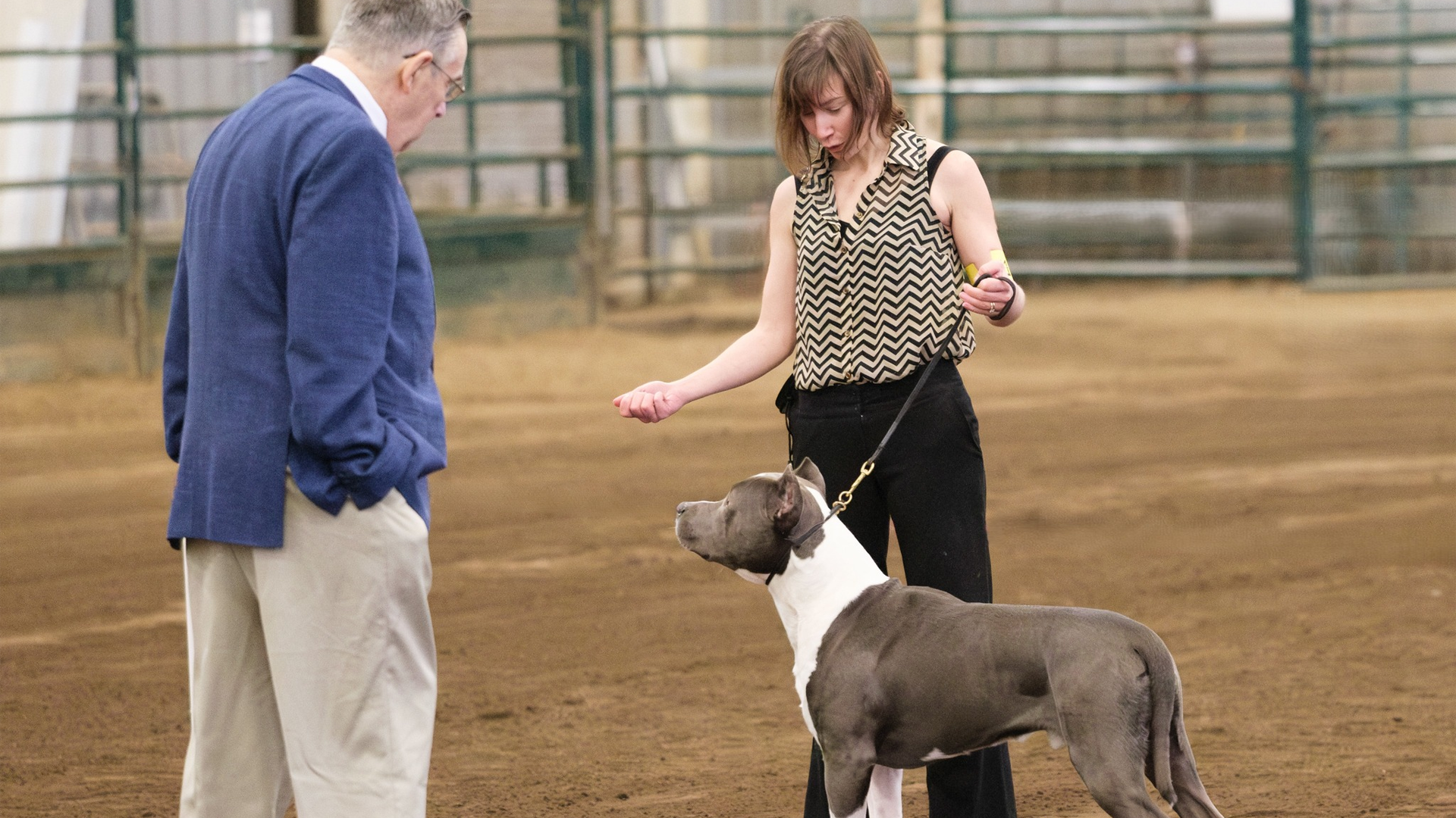 IABCA's 2026 Evergreen Summer International Dog Show