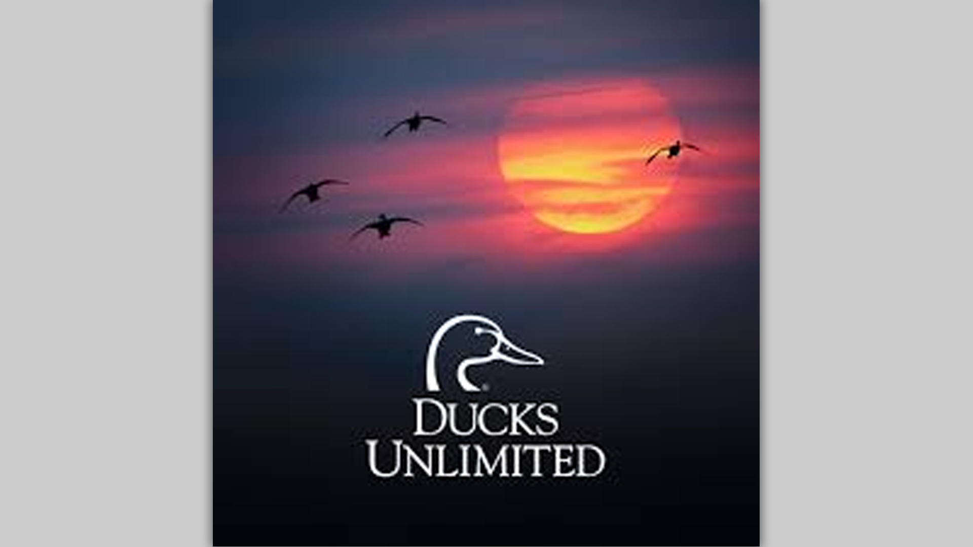 Ducks Unlimited Dinner & Fundraiser (ticketed event)