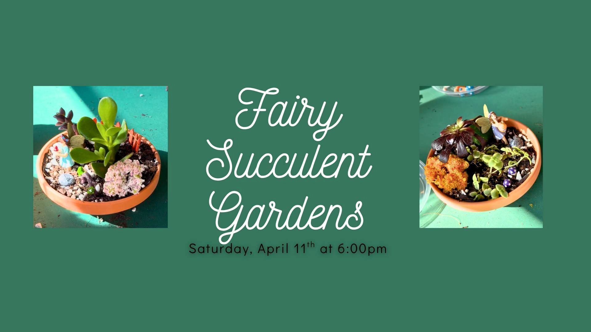 Fairy Succulent Garden