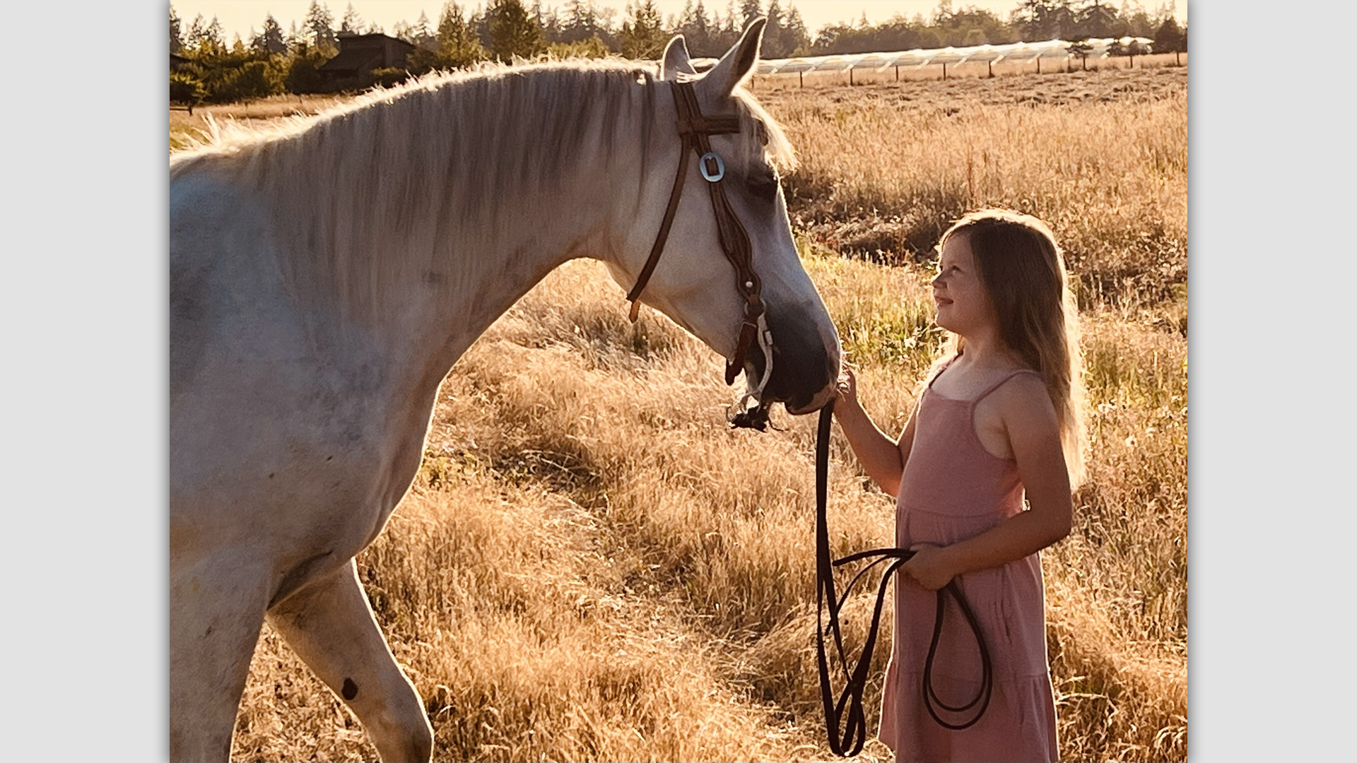 ENUMCLAW SCHOOL DISTRICT SPRING BREAK HORSE CAMP @ HEART OF HORSEMANSHIP ENUMCLAW