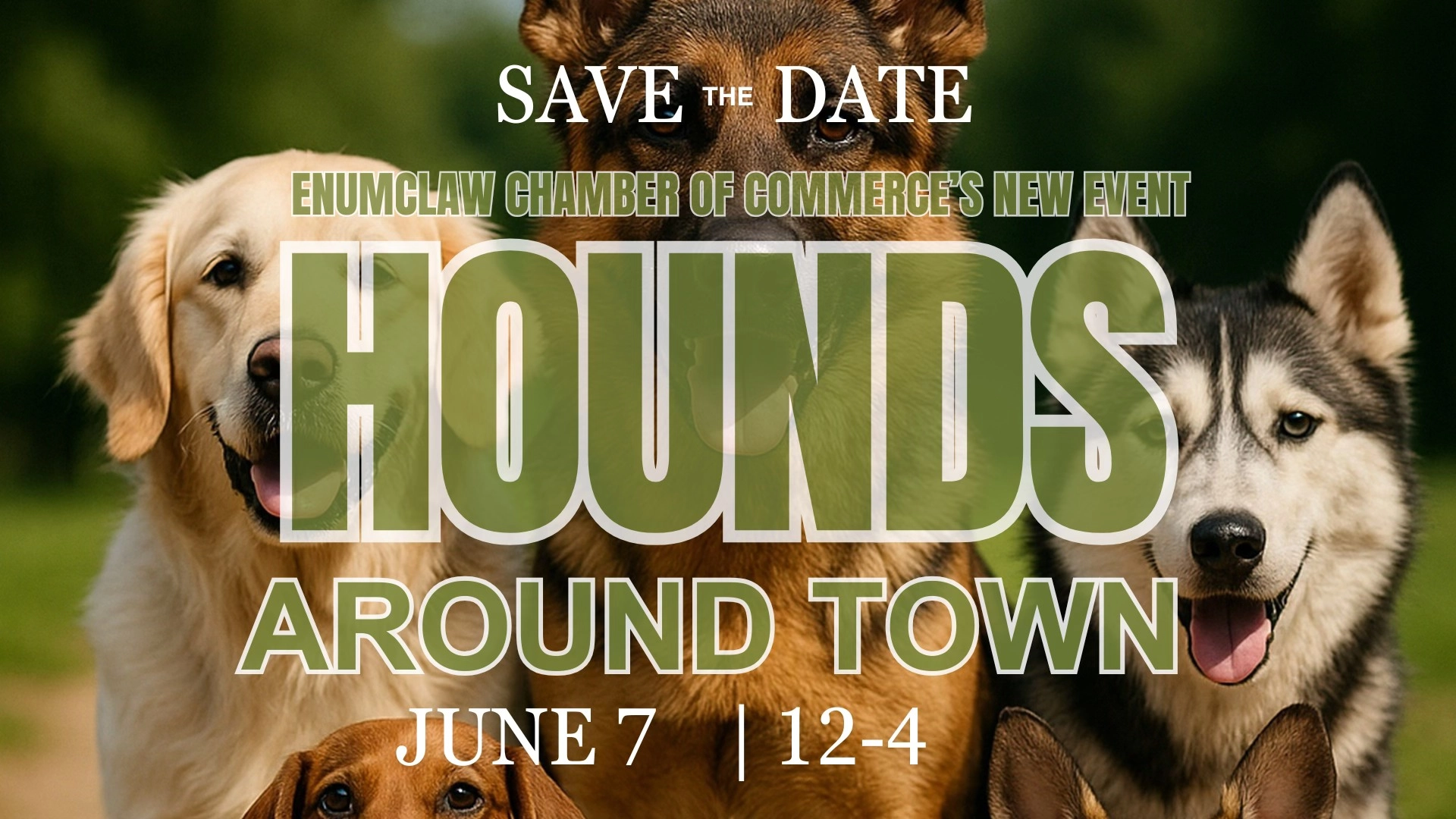 Hounds Around Town