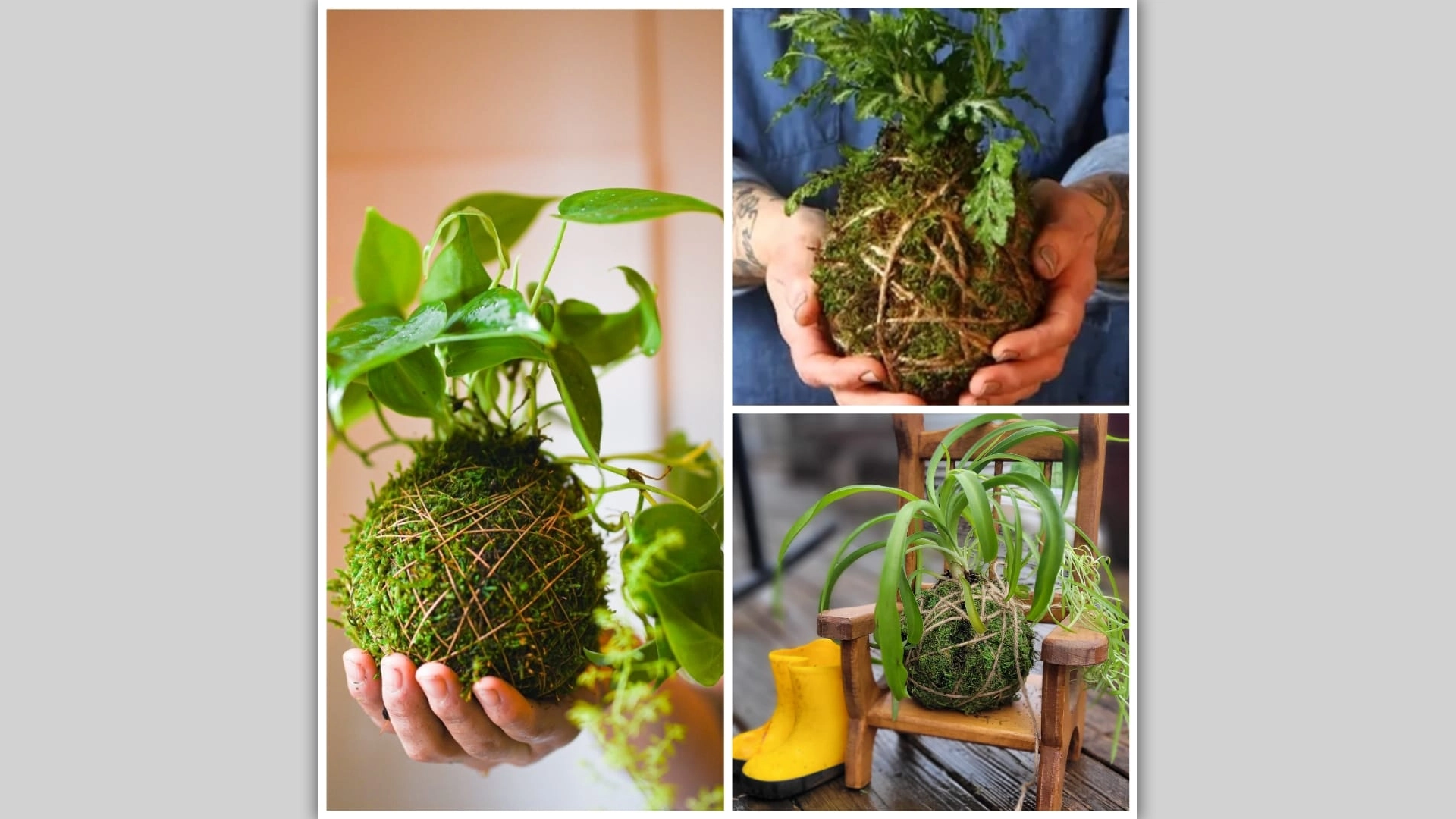 Kokedama Plant Workshop